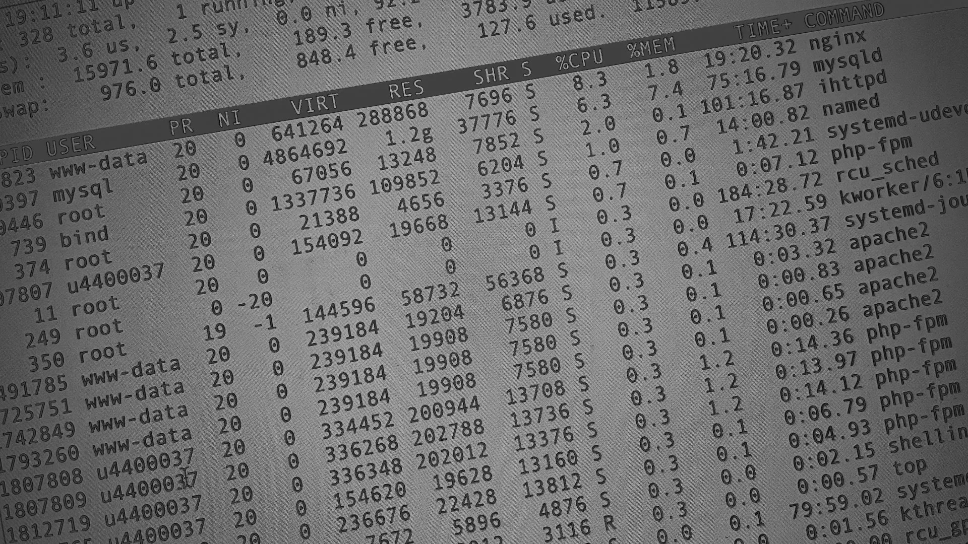 Настройка сервера в Мамоново