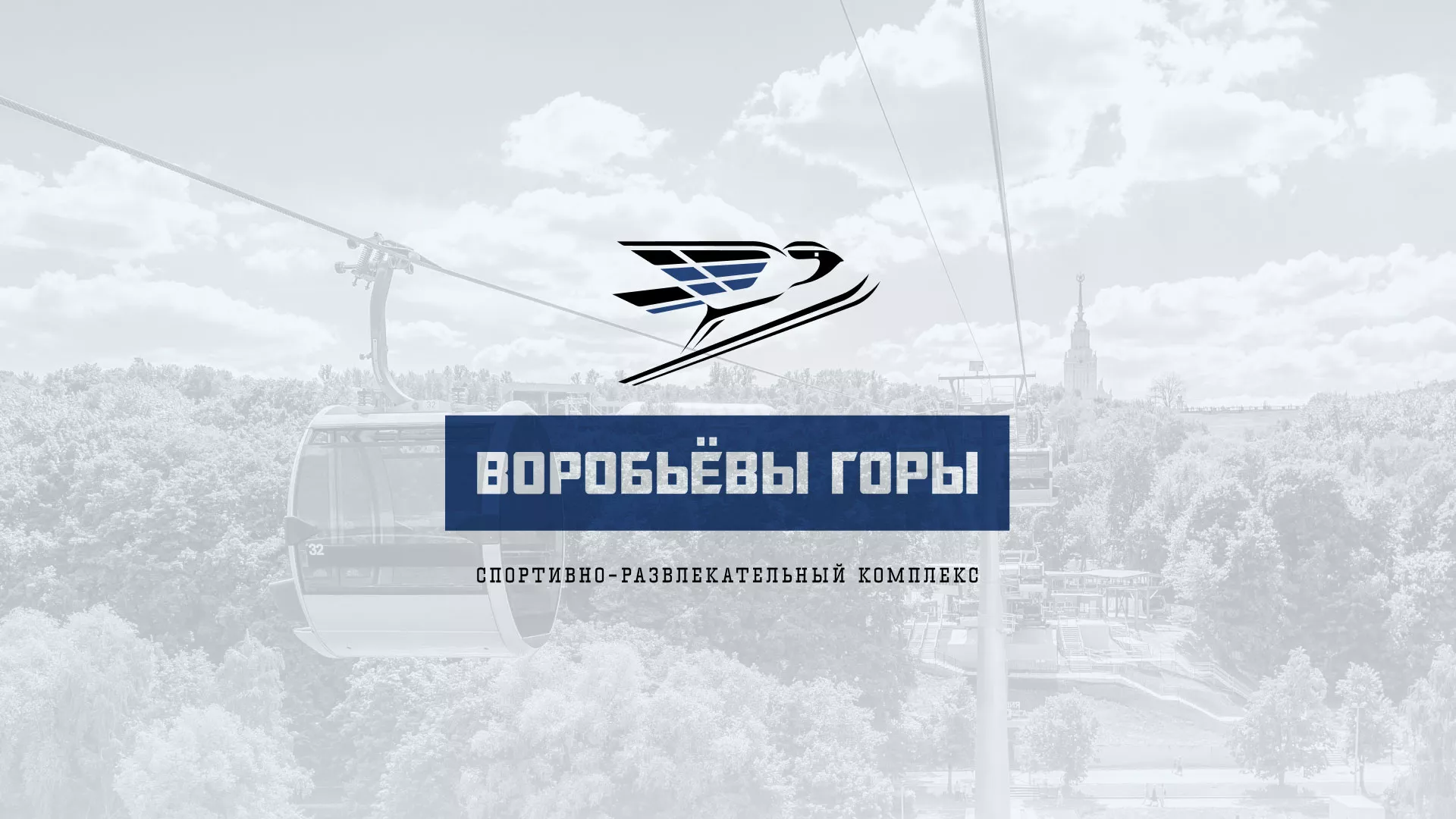 Разработка сайта в Мамоново для спортивно-развлекательного комплекса «Воробьёвы горы»