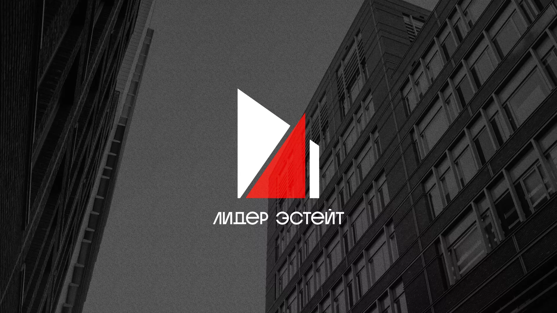 Сделали логотип для агентства недвижимости «Лидер Эстейт» в Мамоново